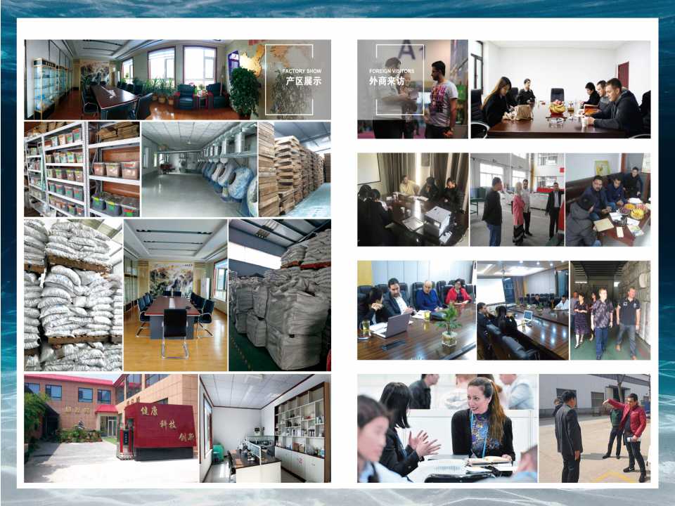 Magnesium Hydrogen Ceramic Ball 