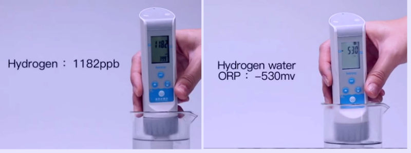 Hydrogen ceramic disc Testing 