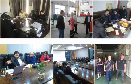 Bolas minerales alcalinas de metasilicato