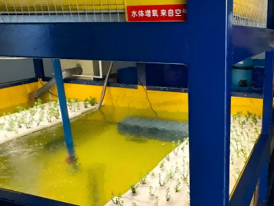 Hydrogen Water Ball;Ceramic Ball Hydrogen;Hydrogen Ceramic Ball