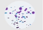 Натуральный минеральный нано-серебряный антибактериальный керамический шарик