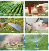 Zeolite Ceramic Ball